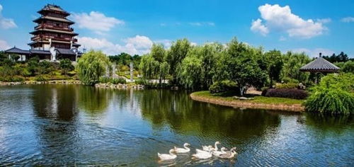 心動之旅！僅99元，12月3日韶山、花明樓純玩一日游，開啟紅色文化體驗